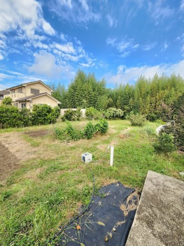 【展望】の画像