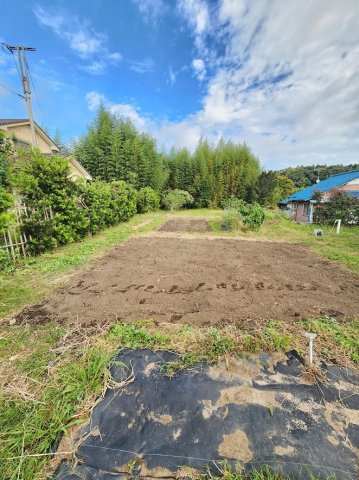 【展望】の画像