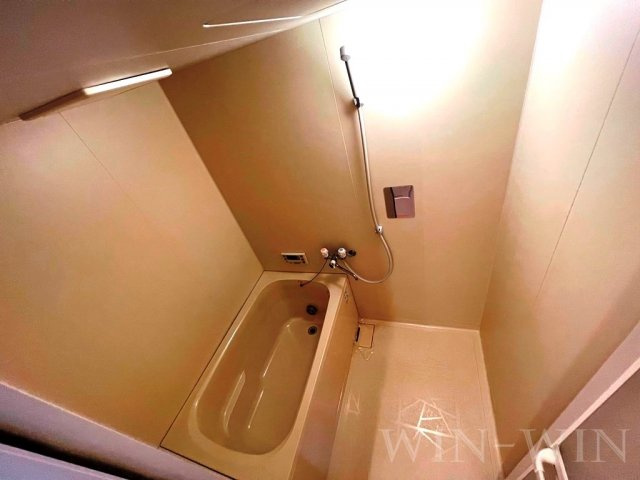 ウィズダムハウス Ⅲの浴室|イメージ（同建物内別部屋の写真です）