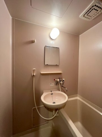 レディバッグ六本松の洗面所