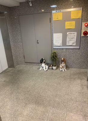 【エントランス】 | リベール入谷