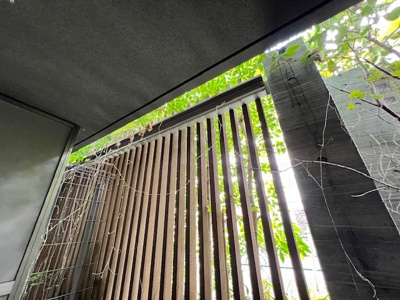 【展望】 | コスモグラシア学芸大学