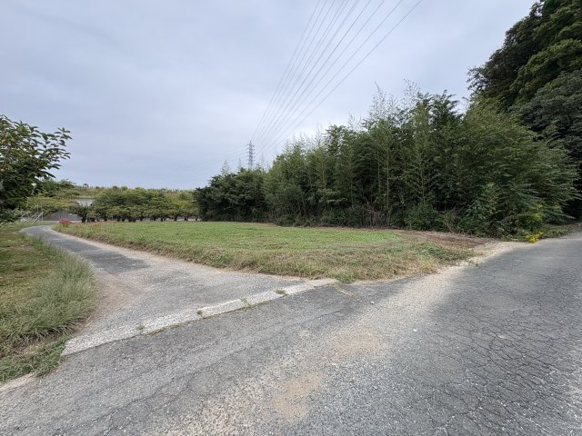 【前面道路含む現地写真】の画像