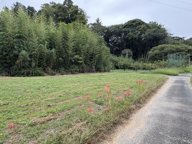 【展望】の画像