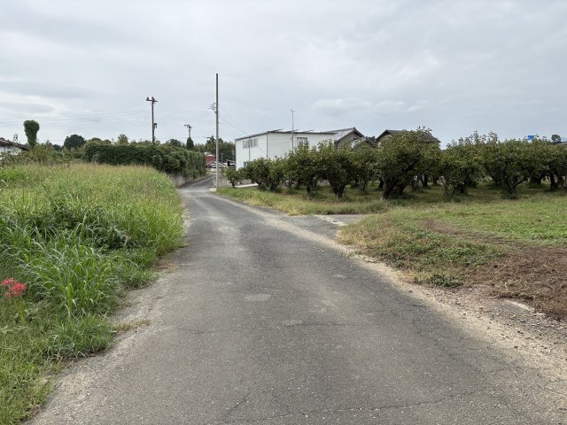 【前面道路含む現地写真】の画像