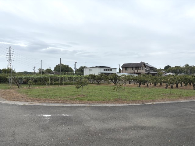 【前面道路含む現地写真】の画像