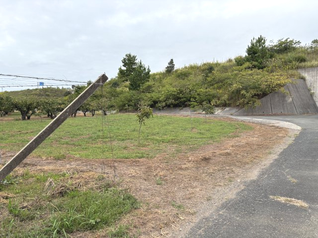 【展望】の画像