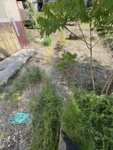 【周辺】の画像