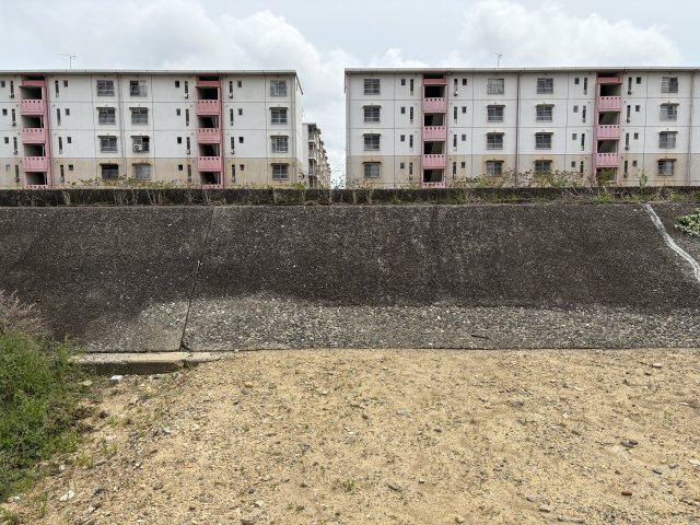 【展望】の画像