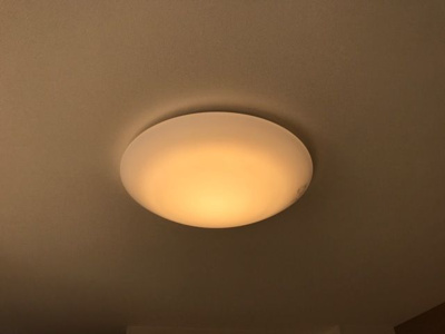 【その他】 | グランツ