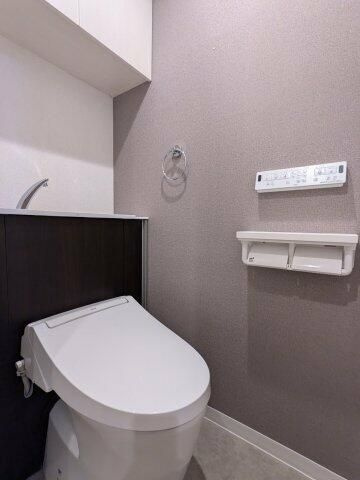 ソラシアレジデンス学芸大学Ⅱのトイレ