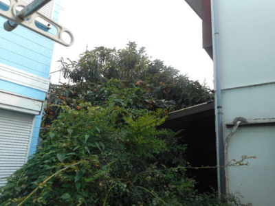 【展望】 | コトーＭ