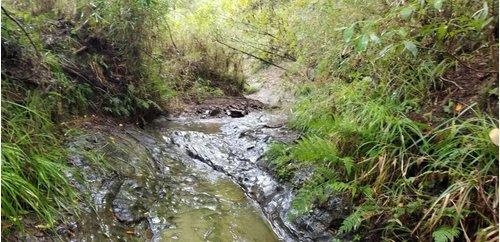 君津市柳城　売地の展望|近隣の川