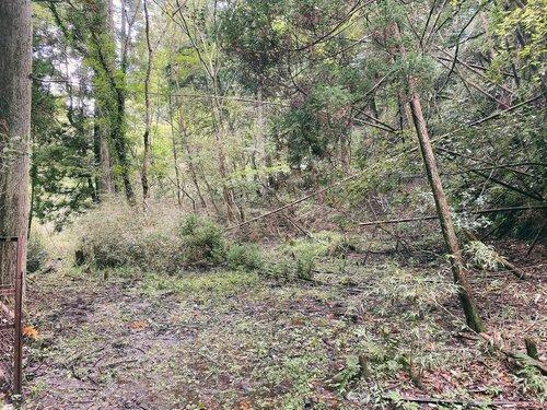 君津市柳城　売地のその他