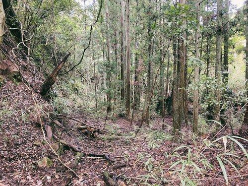 君津市柳城　売地のその他