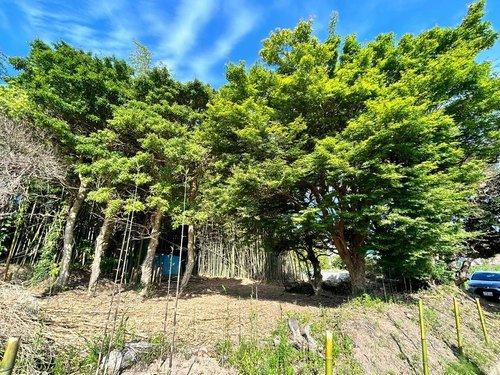 君津市箕輪　売地のその他