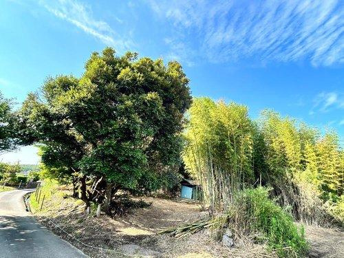 君津市箕輪　売地のその他