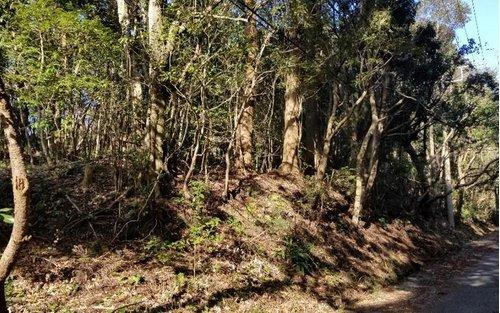 鴨川市西　売地のその他|現地（2021年2月）撮影