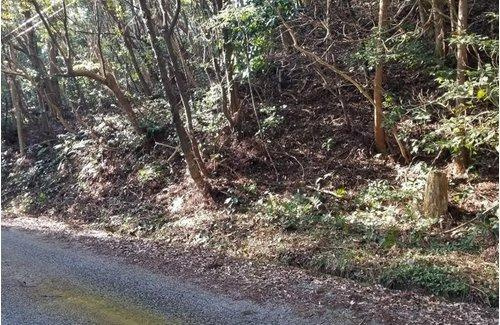 鴨川市西　売地のその他|現地（2021年2月）撮影