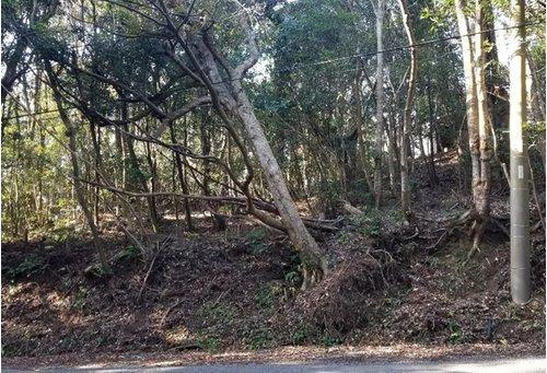 鴨川市西　売地のその他|現地（2021年2月）撮影