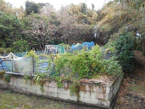 千倉町南朝夷　中古戸建のその他|家庭菜園が楽しめます