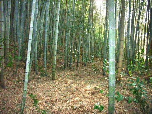 南房総市増間　売地のその他