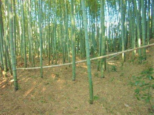 南房総市増間　売地のその他