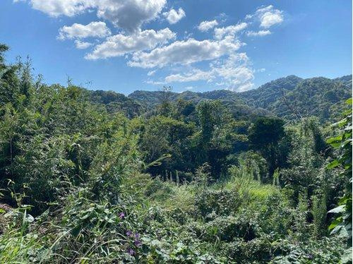 館山ポピーランドZ-2　売地の展望|山側の景観