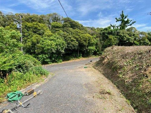 館山ポピーランドM-1　売地のその他|全面道路
