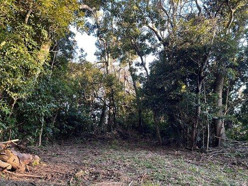 館山市佐野　売地のその他