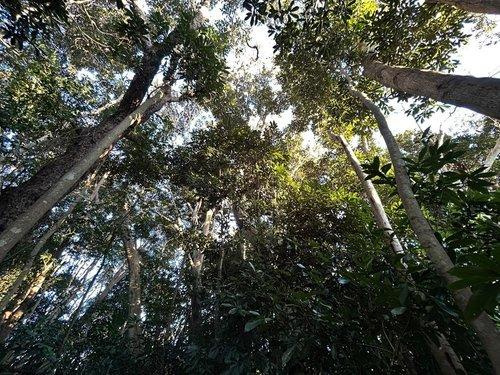 館山市佐野　売地のその他