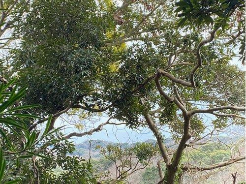 館山市佐野　売地の展望