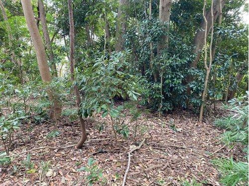 館山市佐野　売地のその他|■敷地面積：1936㎡（585坪）