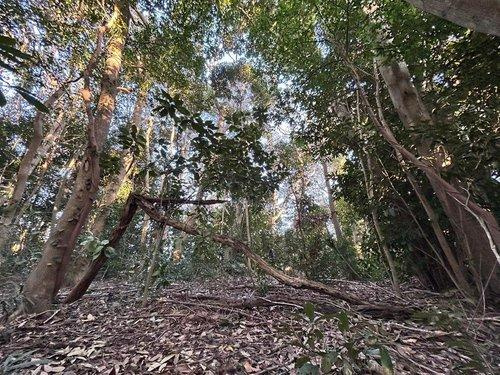 館山市佐野　売地のその他|■緑豊かな住環境です