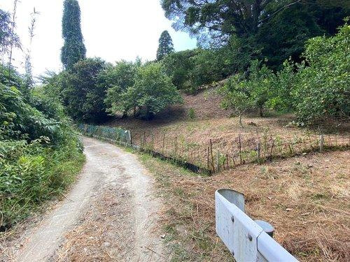 南房総市合戸FGH区画　売地の前面道路含む現地写真