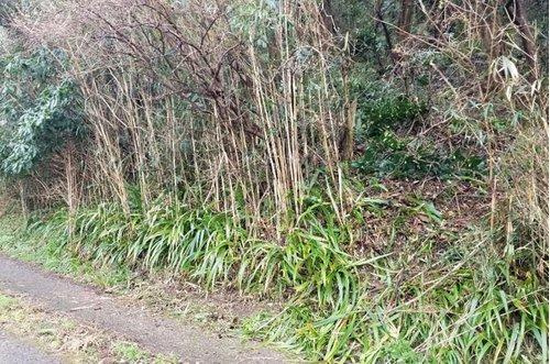 安房郡鋸南町横根　売地のその他|現地（2021年2月）撮影