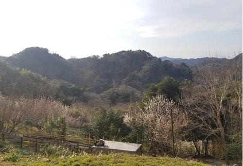 安房郡鋸南町横根　売地の展望|現地からの眺望（2021年2月）撮影