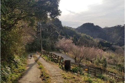 安房郡鋸南町横根　売地のその他|周囲の環境