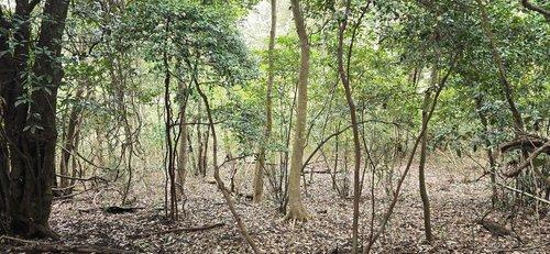 富津市相川21　売地の外観