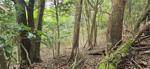 富津市相川21　売地の外観