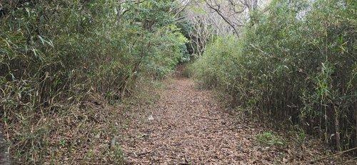 富津市相川21　売地の外観
