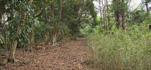 富津市相川21　売地の外観