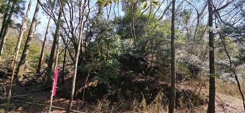 富津市相川⑭-1・⑭-2　売地のその他