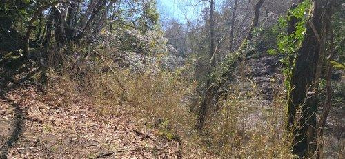 富津市相川⑭-1・⑭-2　売地のその他