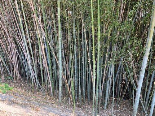 君津市上　売地のその他