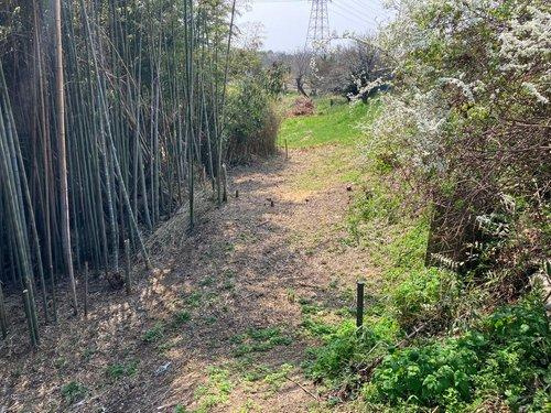 君津市上　売地のその他