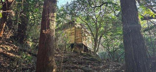 いすみ市山田　売地