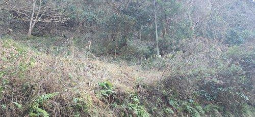 いすみ市山田　売地のその他