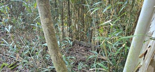いすみ市山田　売地のその他