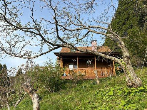 鴨川市平塚　ログハウスのその他